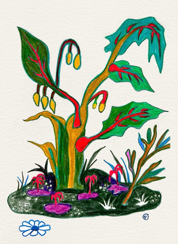 《草木有色》 · A Plant in Color
